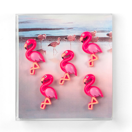 Pink Flamingo 5 st - kylskåpsmagneter